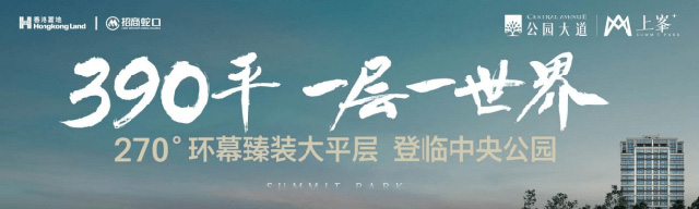 重庆中公园大道上峯+宣传海报